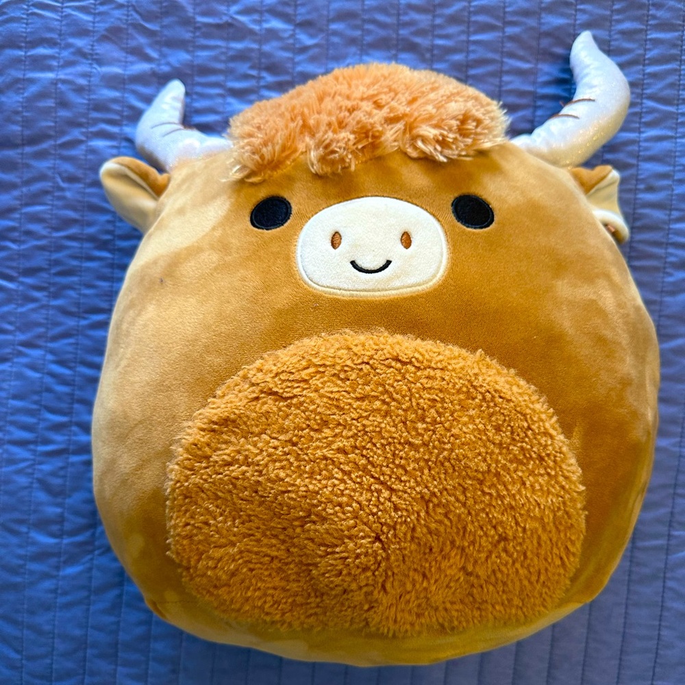 Calton Highland Cow (Brown Belly)